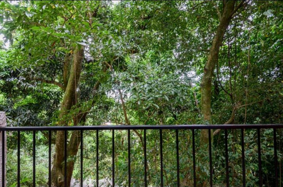 Santa Teresa Junto A Natureza Рио-де-Жанейро Экстерьер фото